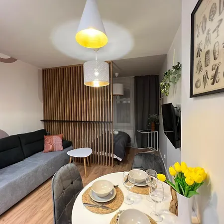 Appartement Kosciuszki Benjamin's Katowice